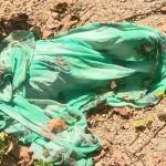 A woman who had gone to pick Mahua in Gomiya was crushed by a wild elephant.