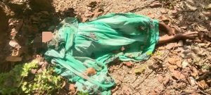 A woman who had gone to pick Mahua in Gomiya was crushed by a wild elephant.