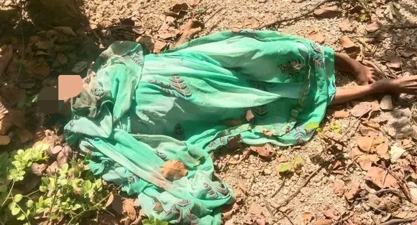 A woman who had gone to pick Mahua in Gomiya was crushed by a wild elephant.