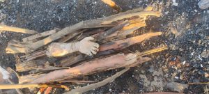 The severed hand of Ramu Turi's body was found on the banks of Tenughat Dam.