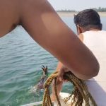 A deer strayed into Konar Dam and was safely rescued by fishermen.