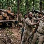 Special Report: In Gomia, the timber mafia attacked the forest department team, while elephants attacked the villagers.