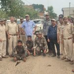Gomia: Forest Department cracks down on those plundering the Lugu Buru forests.