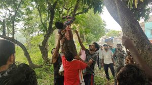 Gomia: Drunk youth climbs mango tree; high-voltage drama unfolds for hours.