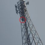 Gomia: Minor girl who climbed a tower in protest against her lover's arrest sent to a juvenile correction home.
