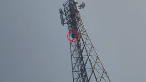 Gomia: Minor girl who climbed a tower in protest against her lover's arrest sent to a juvenile correction home.