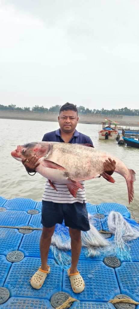 Fish