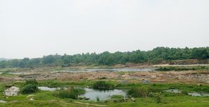 Gomia: Allegations of illegal stone mining in the Konar River; the river's very existence faces a threat.