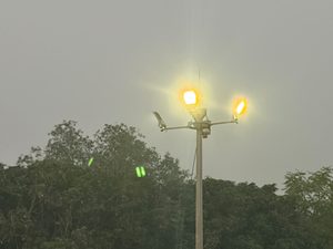 Gomia: High-mast light illuminated following instructions from Minister Yogendra Prasad; 'Van B' Swang market bathed in a bright, milky-white glow.